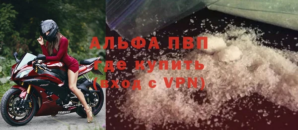молекула духа Козловка