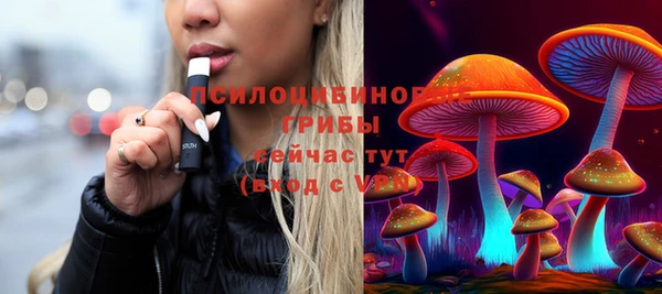 apvp Костерёво
