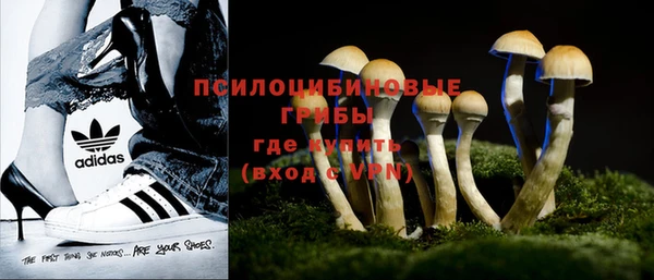 не бодяженный Кукмор