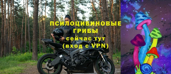 apvp Костерёво