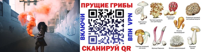 цены наркотик  Суджа  Галлюциногенные грибы ЛСД 
